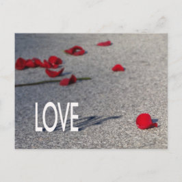 Liebe und Rose Postkarte