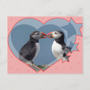 Liebe und Vögel Postkarte
