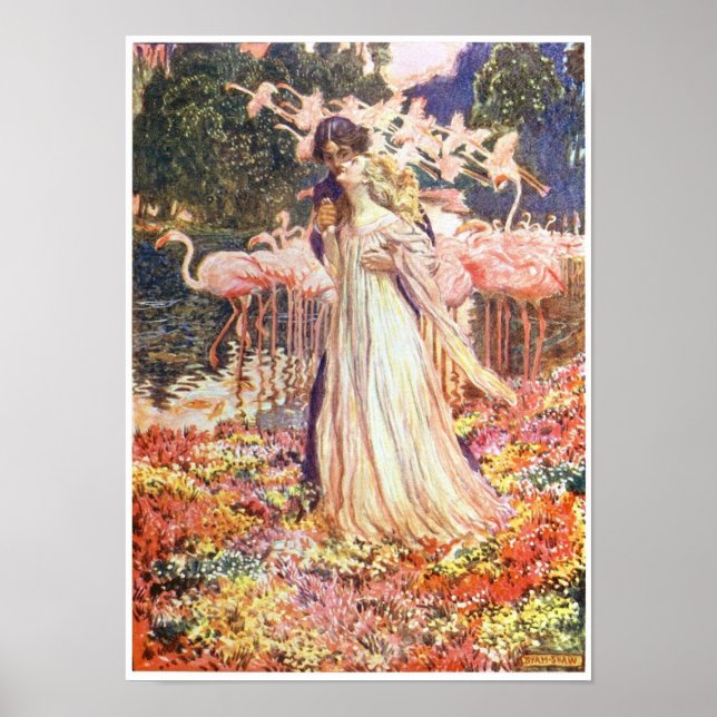 Liebe unter dem Flamingos Vintage Poster (Vorne)