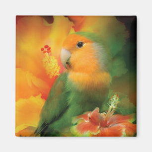Liebe unter dem Hibiskus-Kunst-Magneten Magnet
