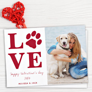 Liebe Valentinstag Haustiere Foto Feiertagskarte