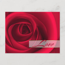 Liebe. Valentinstag-Rote Rose Feiertagspostkarte