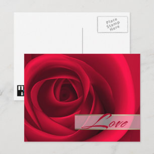 Liebe. Valentinstag-Rote Rose Feiertagspostkarte