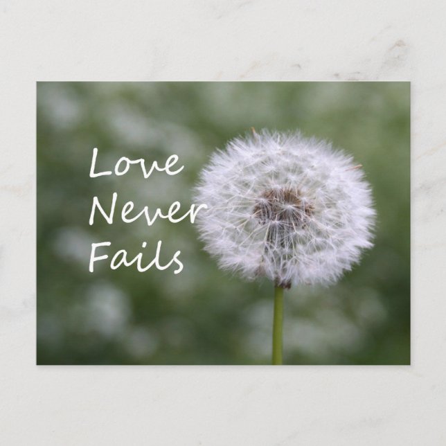 Liebe Versage Dandelion1 Korinther 13 Postkarte (Vorderseite)
