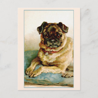 Liebe Vintager Mops Postkarte