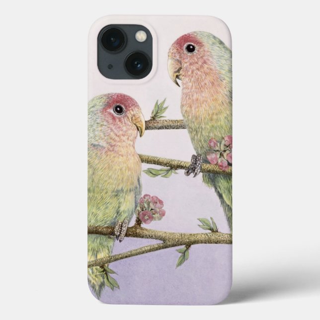 Liebe-Vögel Case-Mate iPhone Hülle (Rückseite)