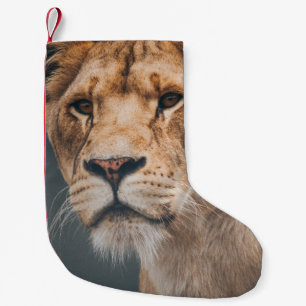 LIEBE VON FRAUEN IN JYLLAND PARK ZOO KLEINER WEIHNACHTSSTRUMPF