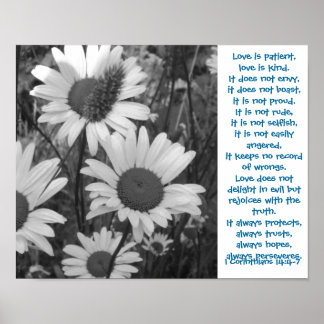 Liebe von Wild Daisies Poster
