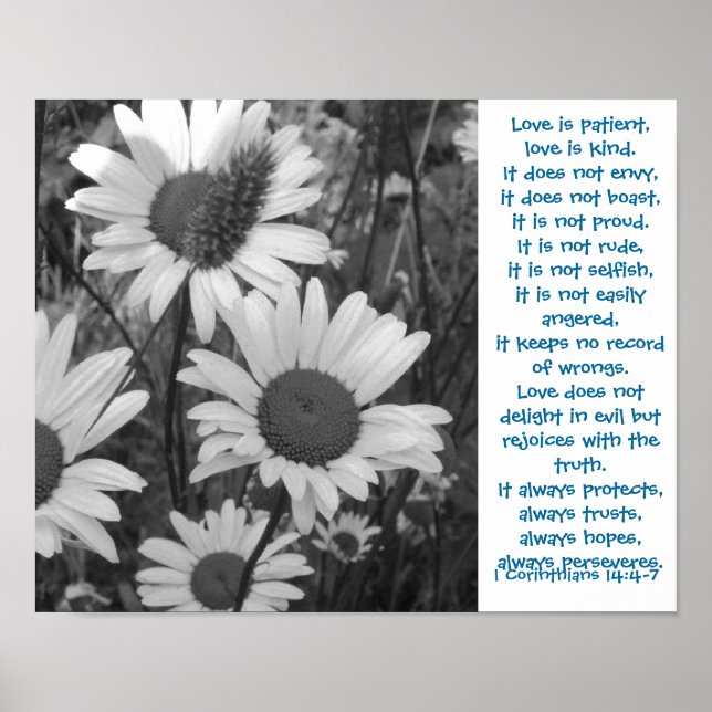 Liebe von Wild Daisies Poster (Vorne)