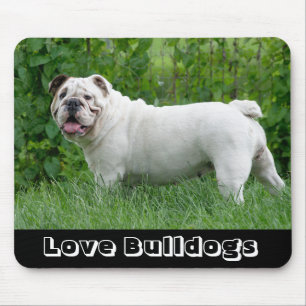 Liebe Weiße Englische Bulldogge Welpe auf Gras Mau Mousepad