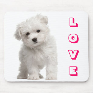 Liebe weiße Malteser-Welpen-Mauspad Mousepad