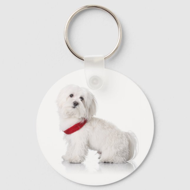 Liebe White Bichon Frise Welpe Hund Schlüsselanhän Schlüsselanhänger (Vorderseite)