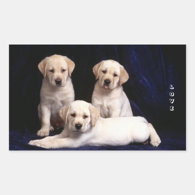 Liebe White Labrador Retriever Puppy Docking Stick Rechteckiger Aufkleber (Vorderseite)