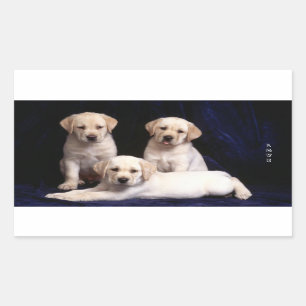 Liebe White Labrador Retriever Puppy Hund Stickers