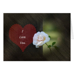 Liebe White Rose