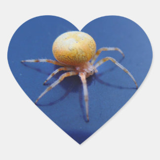 Liebe Wildlife Stickers - Orange Orb Spinner Spide