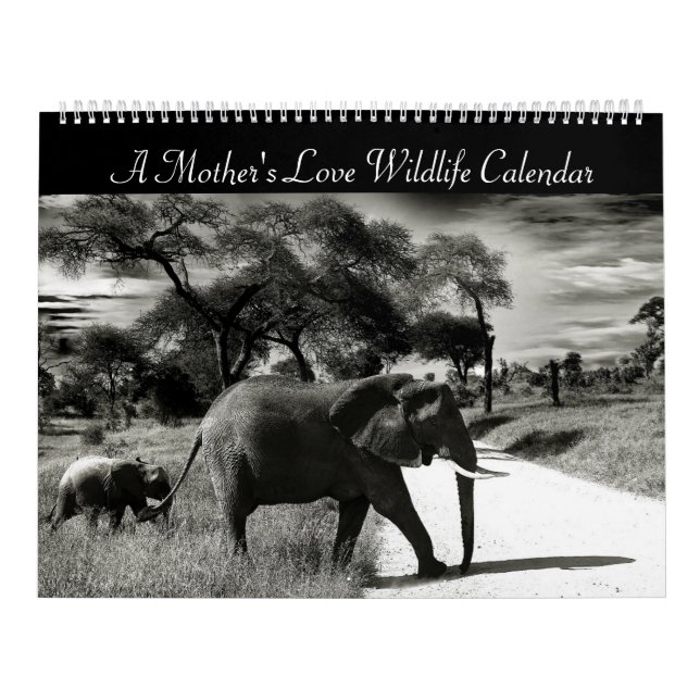 Liebe-Wildtierkalender einer Mutter Kalender (Titelbild)