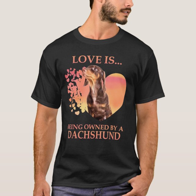 Liebe wird von einer Dackel gehalten T-Shirt (Vorderseite)