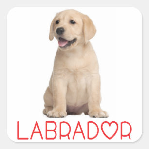 Liebe Yellow Labrador Retriever Puppy Hund Sticker