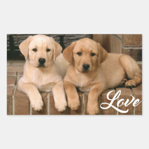Liebe Yellow Labrador Retriever Welpen Aufkleber