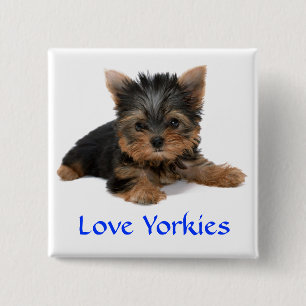 Liebe Yorkies Welpe Button Button
