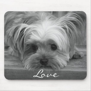 Liebe Yorkshire Terrier Puppy Dog Mousepad