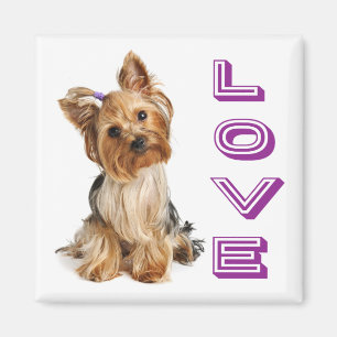 Liebe Yorkshire Terrier Welpe Hund Kühlschrankmagn Magnet