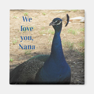 Liebe You Nana Blue Bird Feathers Foto Peacock Magnet