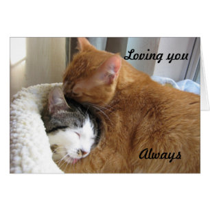 Lieben Sie, immer 036