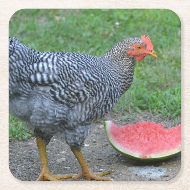 Lieben Watermelon Untersetzer (Vorderseite)