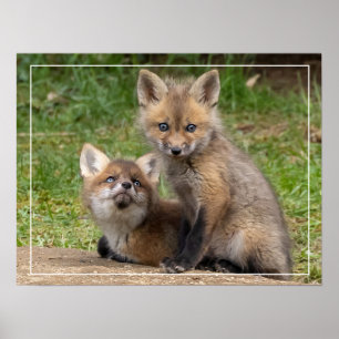 Liebende Augen Poster