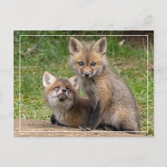 Liebende Augen Postkarte (Vorderseite)