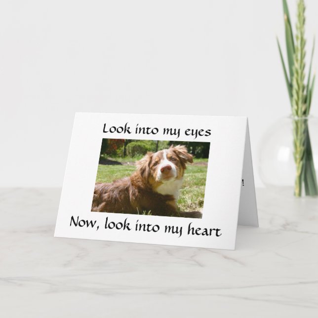 LIEBENDE DOGGIE GIBT DETAILS ZU VERMISSTEN "SIE" KARTE (Vorderseite)