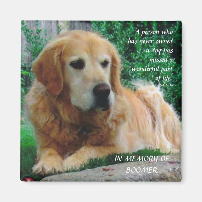 Liebende Hunde Magnet (Vorne)