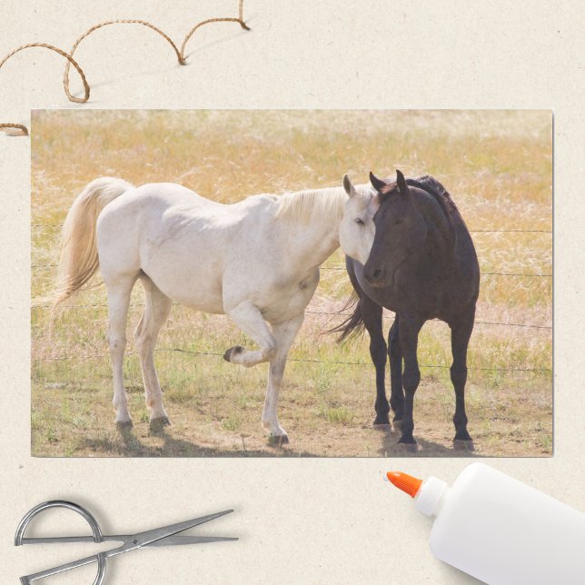 Liebende Pferde Seidenpapier (Von Creator hochgeladen)