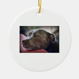 Liebende Pitbull Augen Keramikornament