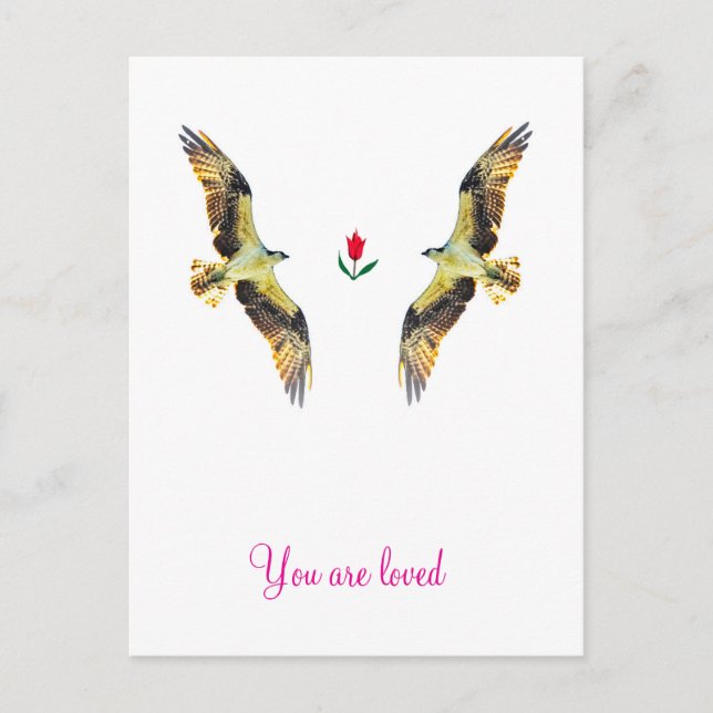 Liebende Vögel. Ospreys Feiertagspostkarte (Vorderseite)