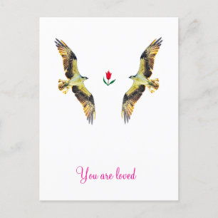 Liebende Vögel. Ospreys Postkarte