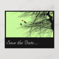 Liebende Vögel, Save the Date Postkarte.