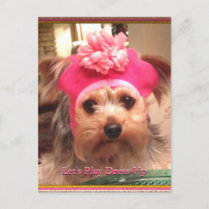 Liebende Yorkies in Hats Postcard Postkarte