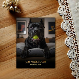 Liebenswerter Cane Corso Gute Besserung Postkarte