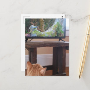liebenswerter orangefarbener Kater beim Fernsehen Postkarte