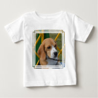 Liebenswürdiger Beagle