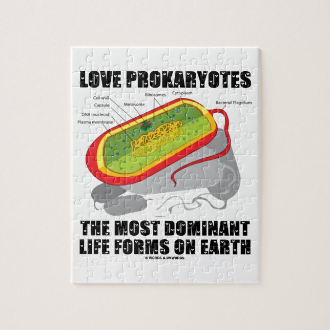 LiebeProkaryotes die meisten dominierenden (Vertikal)