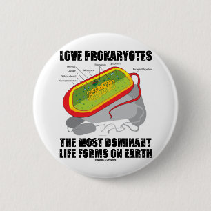 LiebeProkaryotes die meisten dominierenden Button