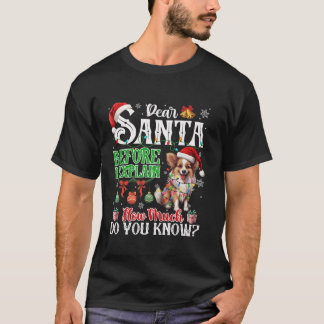 Lieber Weihnachten, bevor Sie erklären, wie viel S T-Shirt