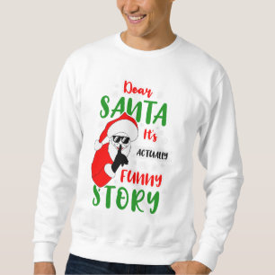 Lieber Weihnachten, es ist eigentlich eine lustige Sweatshirt