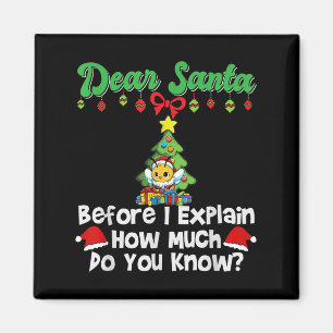 Lieber Weihnachtsmann, bevor ich erkläre, wie viel Magnet