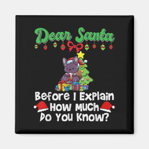 Lieber Weihnachtsmann, bevor ich erkläre, wie viel Magnet