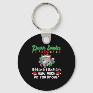 Lieber Weihnachtsmann, bevor ich erkläre, wie viel Schlüsselanhänger
